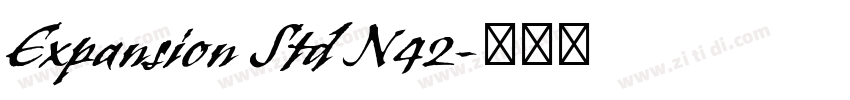 Expansion Std N42字体转换